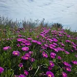 L'oasis Des Dunes Cap D'agde * Le Grau-dʼAgde