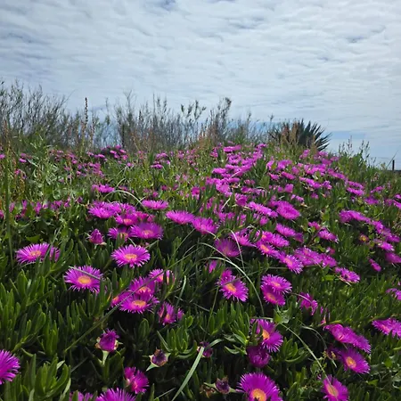L'oasis Des Dunes Cap D'agde * Le Grau-dʼAgde